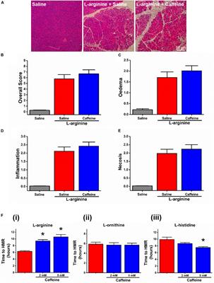 Mechanisms of Pancreatic Injury Induced by Basic Amino Acids Differ Between L-Arginine, L-Ornithine, and L-Histidine